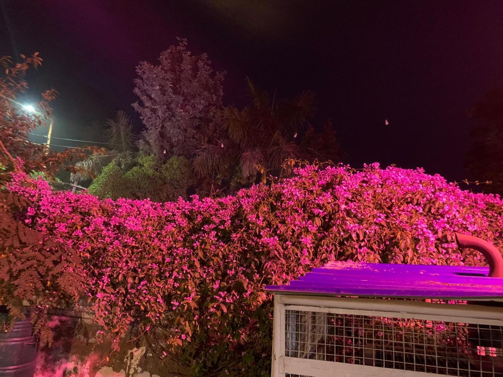 Nature Resort Agra (Uttar Pradesh) Exterior foto