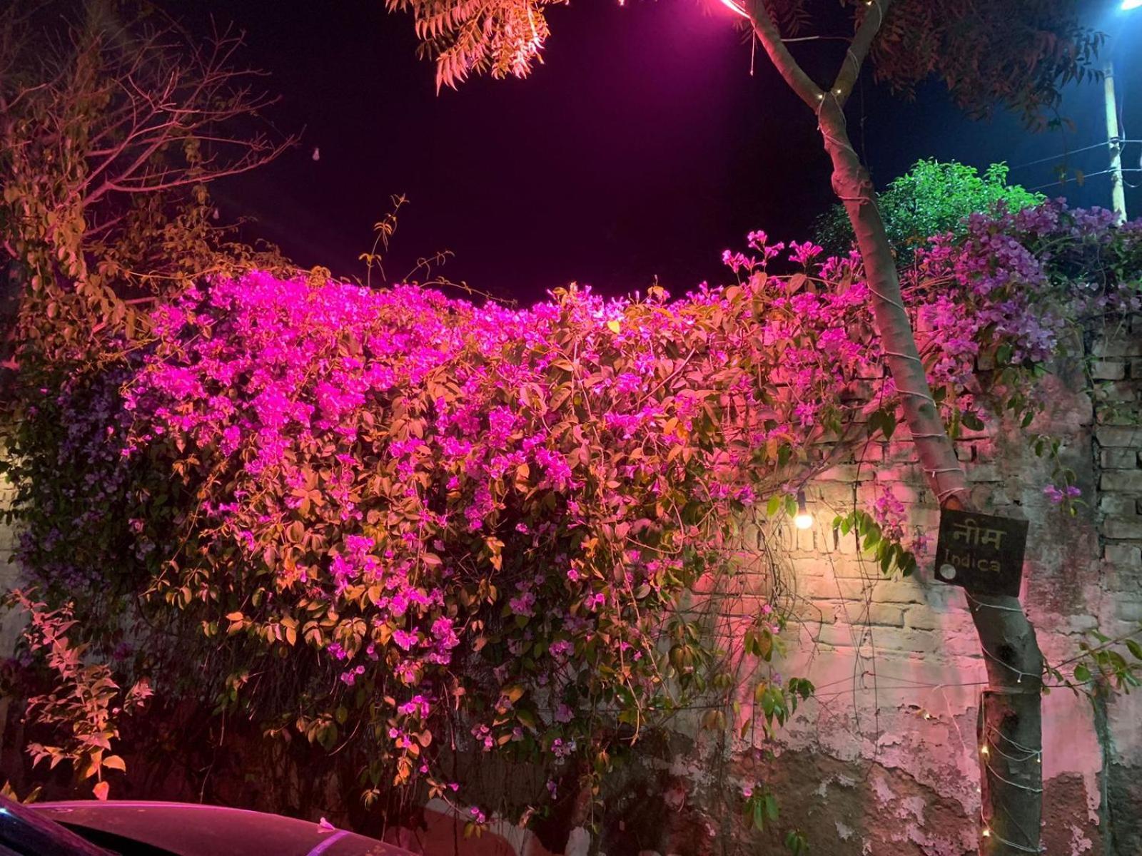 Nature Resort Agra (Uttar Pradesh) Exterior foto