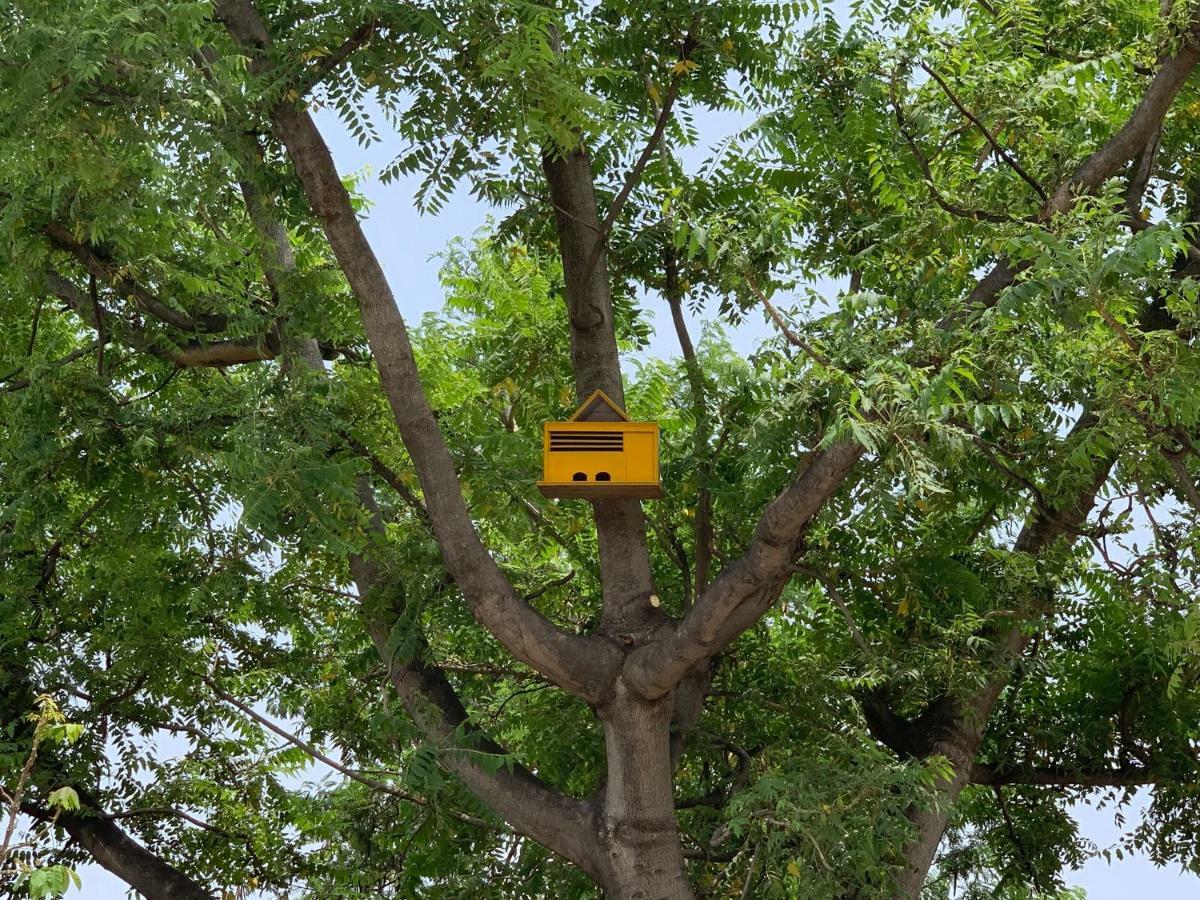 Nature Resort Agra (Uttar Pradesh) Exterior foto